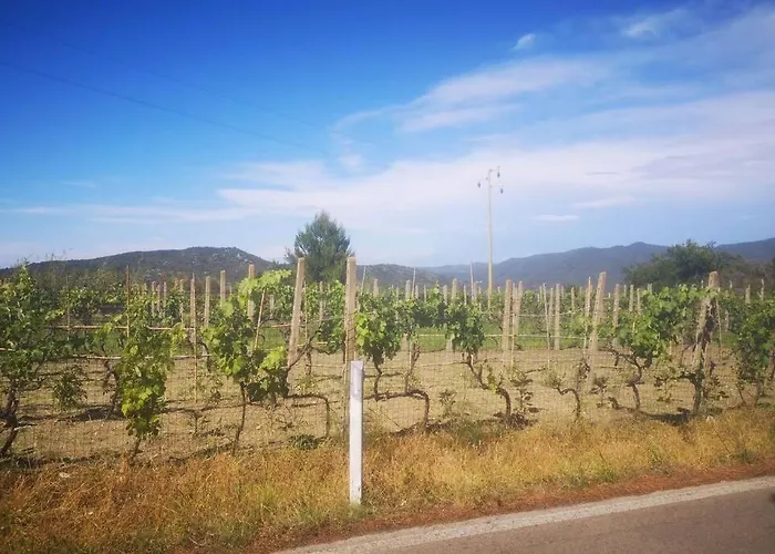 Apartamento Vanessa Paradise Isola D'elba *