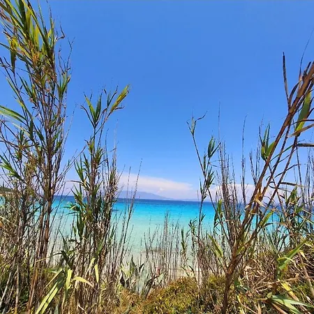 Lägenhet Vanessa Paradise Isola D'elba Pila (Livorno)