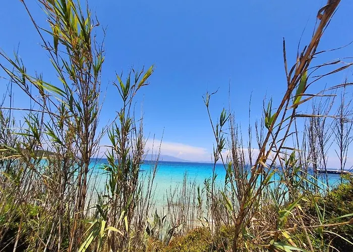 Lägenhet Vanessa Paradise Isola D'elba Pila (Livorno)